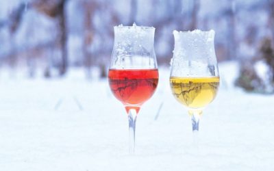 LEDENO VINO